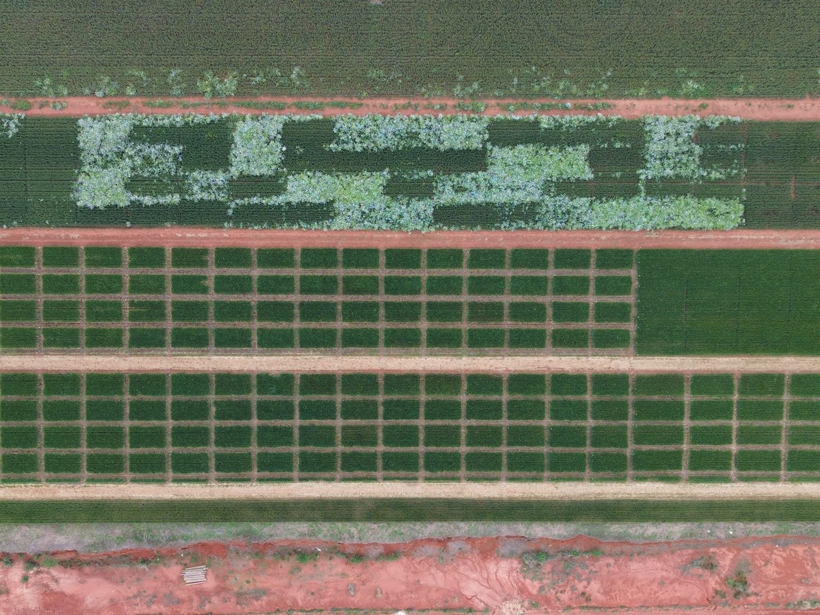 Vista aérea da área experimental